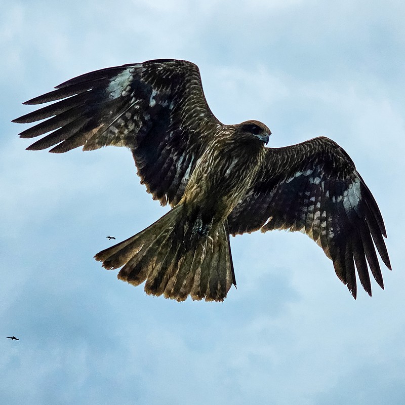 2025大阪Let's購！Day2